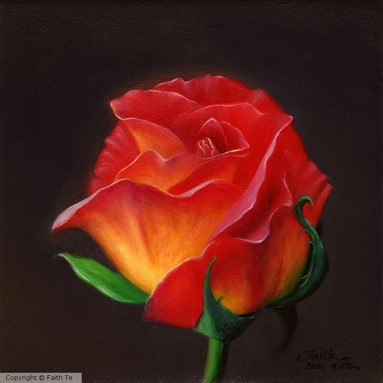 Red Rose, Yellow Rose