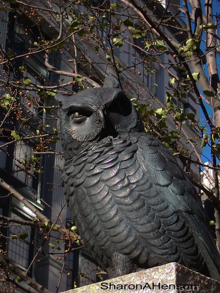 WHO GIVES A HOOT ?????