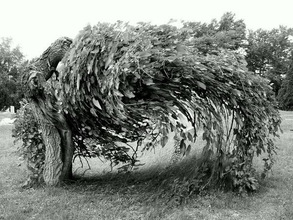 Awesome Tree