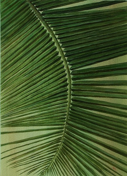 Palm Leaves 2