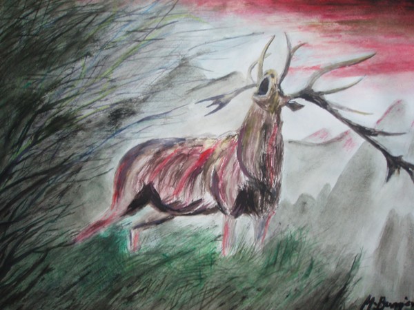 deer