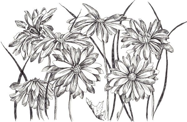 Shasta Daisy Bouquet by cathie richardson | ArtWanted.com