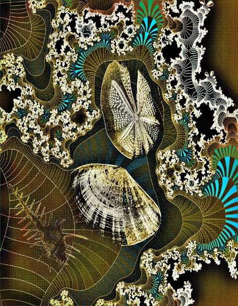 At The Seashore