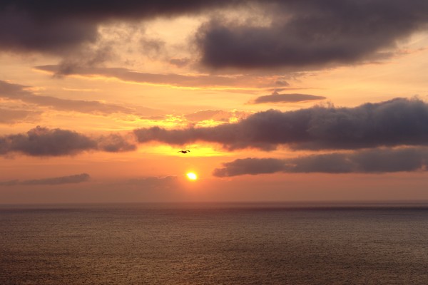 Sunrise