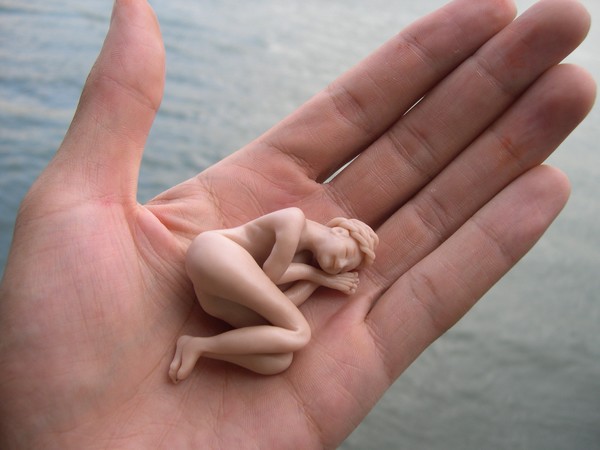 Hand Held 