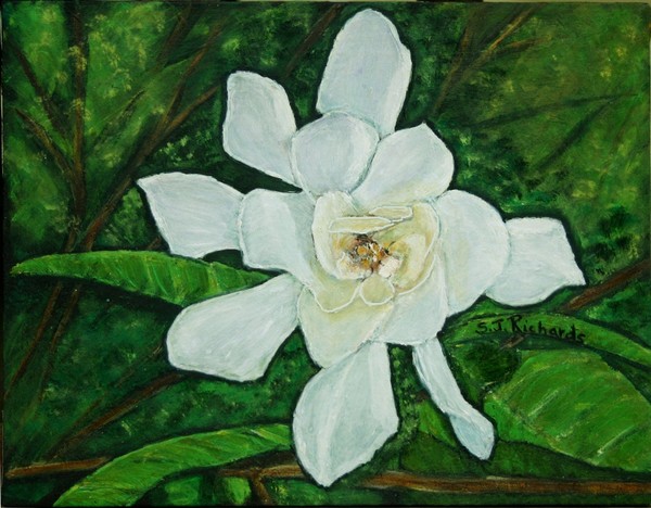 The Gardenia