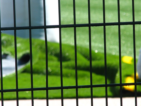 THE GRASS IS ..GREENER...