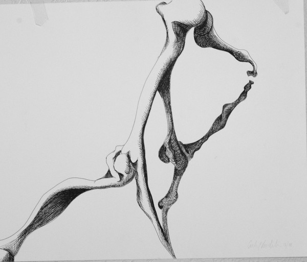 Bones 5