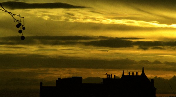amazing skies