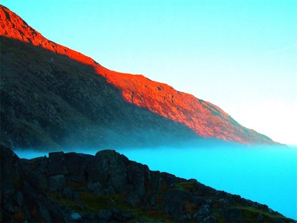 Blue Mountain Mist
