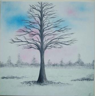 The Lonely Tree