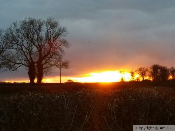 The Sunset Glow