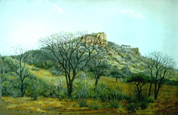 Pastel - Shingwedzi Area - Kruger Park