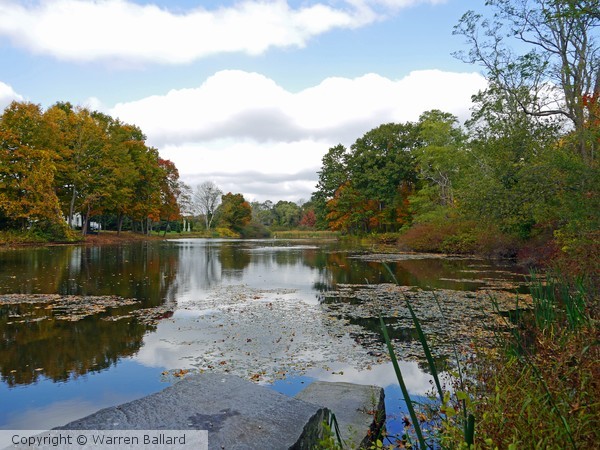 Butterfly Pond