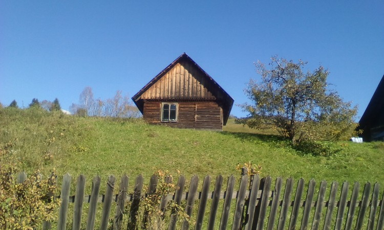 The little wood house