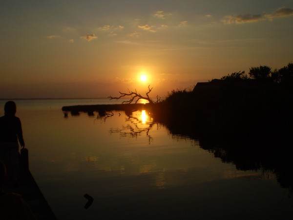 Yellow Sun