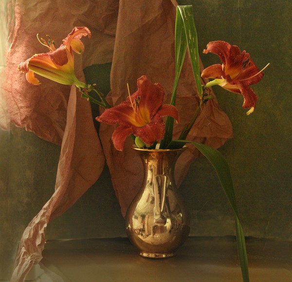 3 day lilies