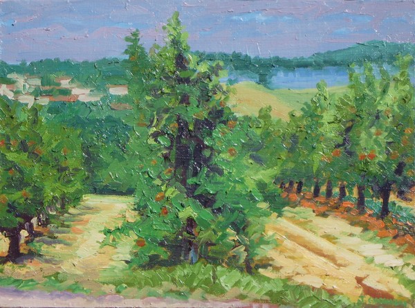 CT Orchard #1