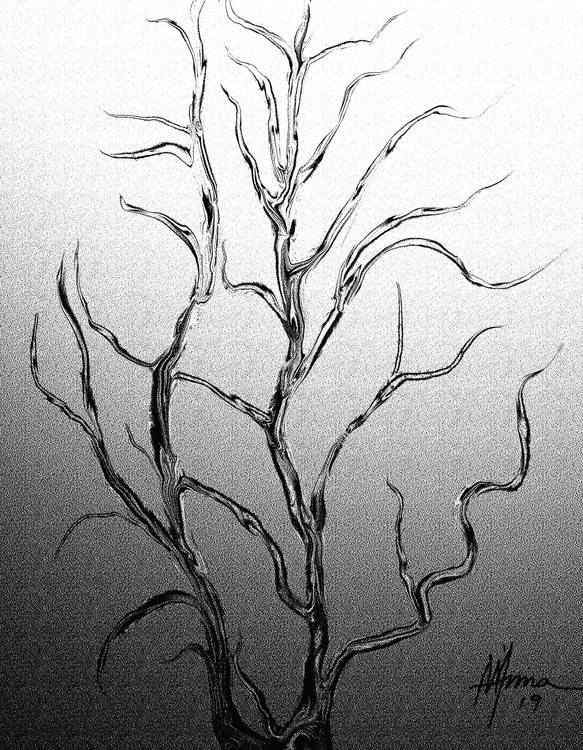 TREE IN THE WINTER