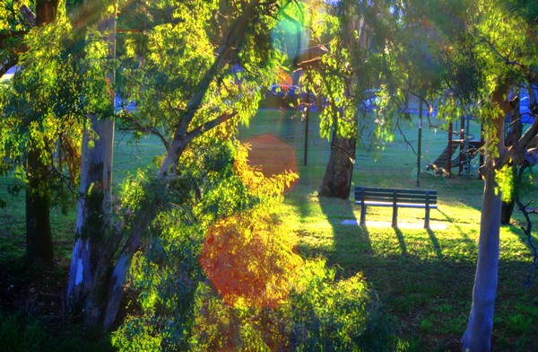 Refracted Light - City Park