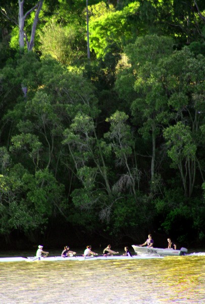 Rowing on the Brisbane Corso