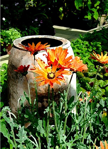 The Gerbera in the Greenhouse