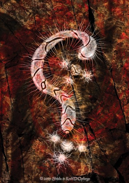 Menticyte 01