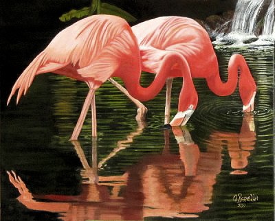 Flamingo's 