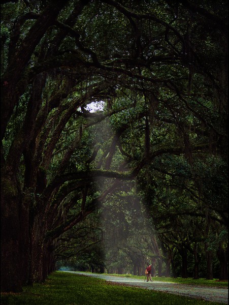 Looking in to the past