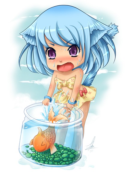 Kitten splash
