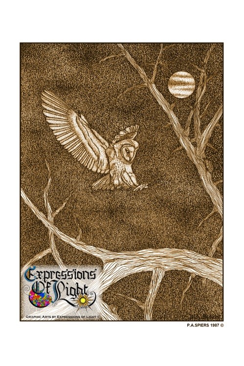 ExpoLight-Graphic-Arts-Moonlight-Owl-Flight-1987-0001 (Pen-&-Ink-Sepia-SP)