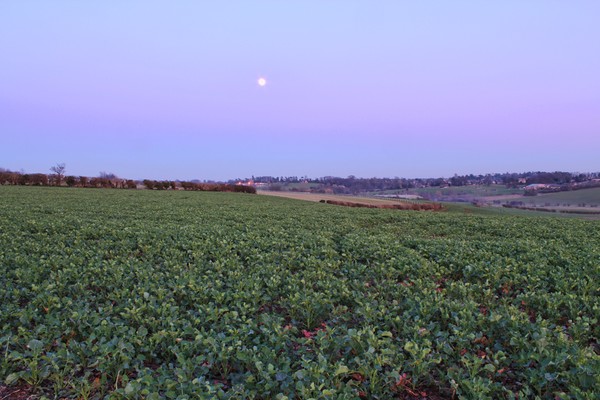Moon In The Twilight Sky