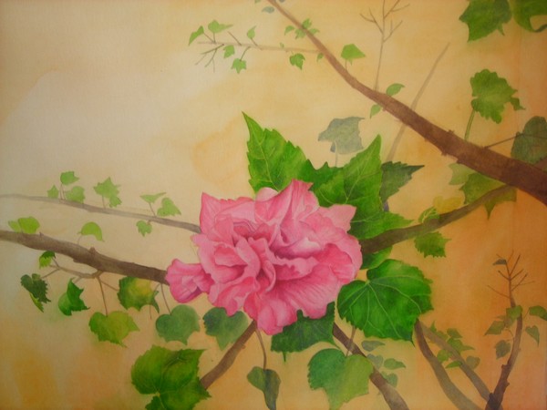 NATURE -I