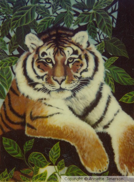 1st Tiger