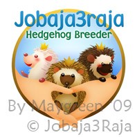 jobaja3raja logo