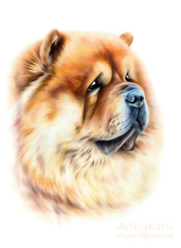 Ivor
