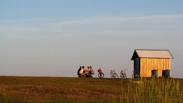 Summer in Sweden_1