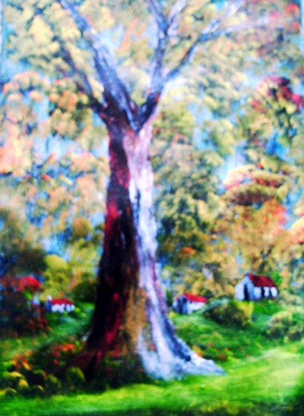 spring in the  bush