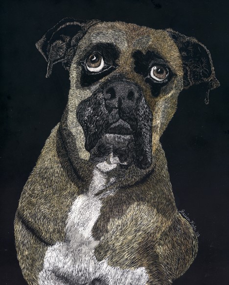 The Boxer
