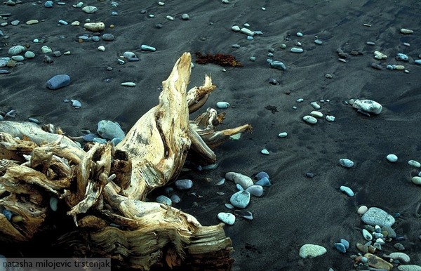 wood and black sand