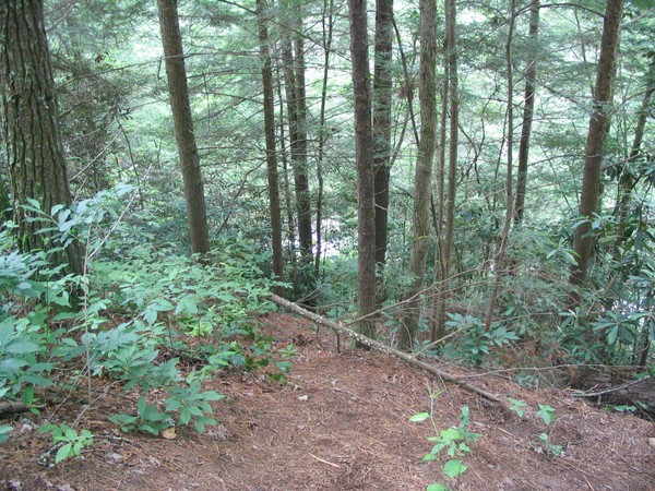 Hike to Abrahms Falls