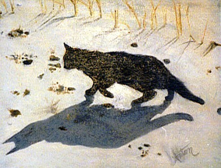 Shadow of a Cat