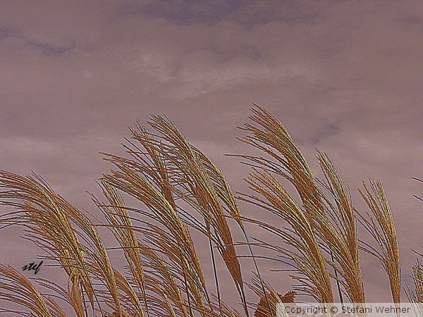 do you feel the breeze?