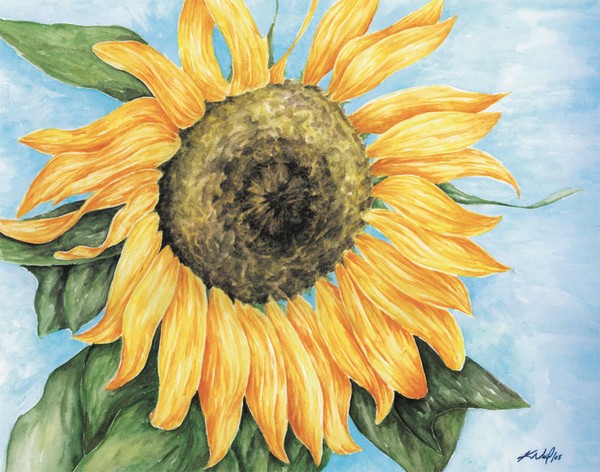 Sunflower