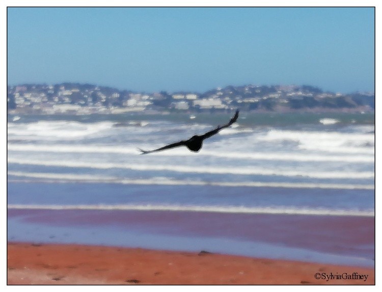 Summer Breezes