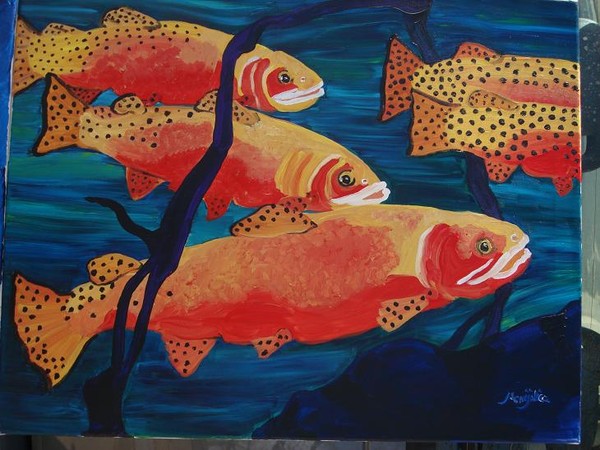CUT-THROAT TROUT