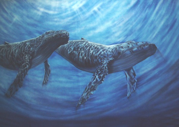 2 whales
