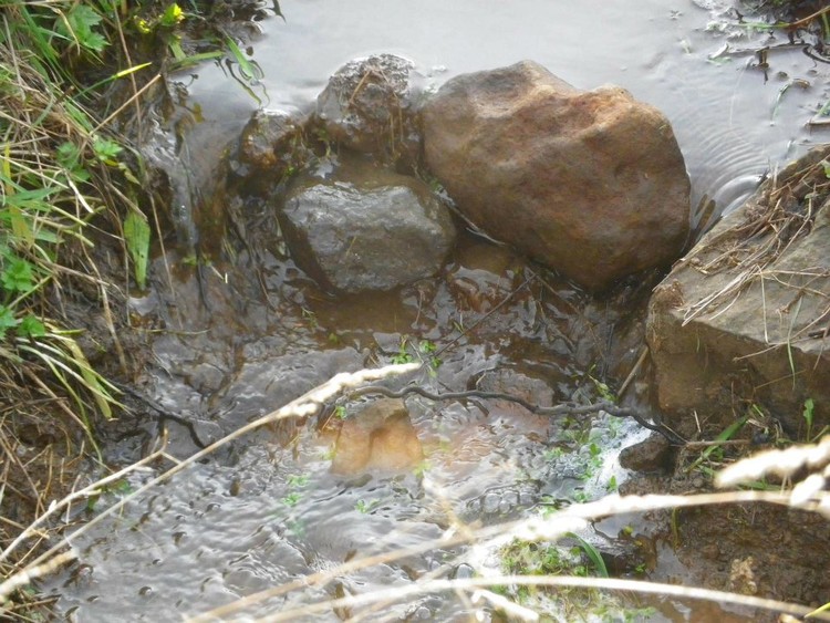 Little Brook 33rd photo taken of the ditch running thru our land