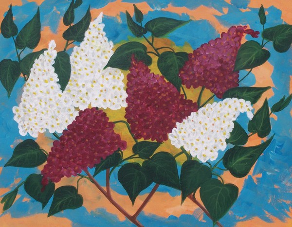 Lilacs branches6