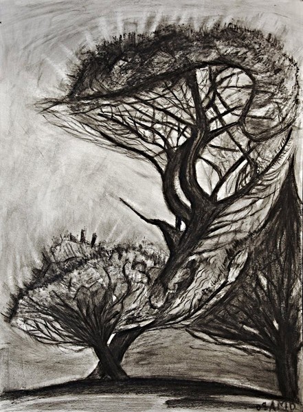 raintree
